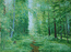 Тропинка в лесу